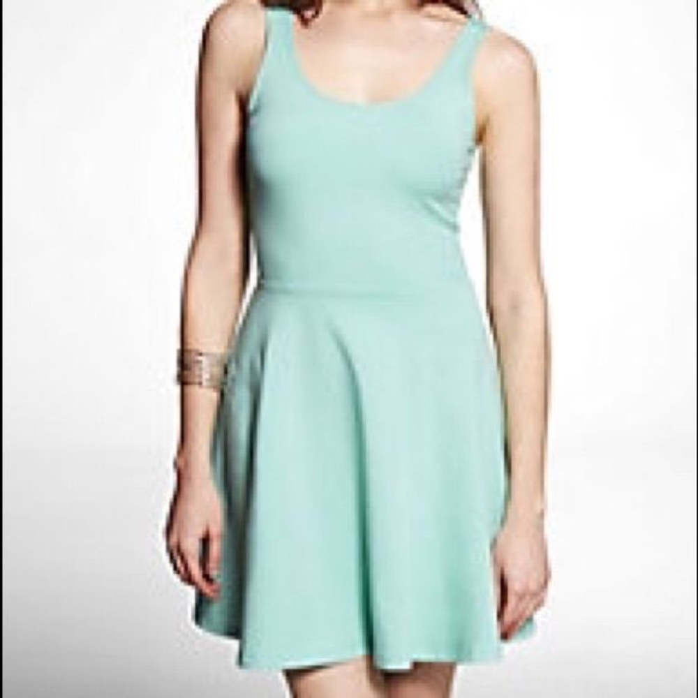 Express Mint Skater Dress XS